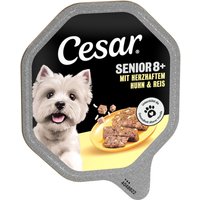 Cesar Senior 8+ portionsform 28 x 150 g - Med kyckling och ris