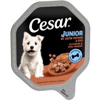 Cesar Junior i portionsform 14 x 150 g - Med kalkon och kalvkött