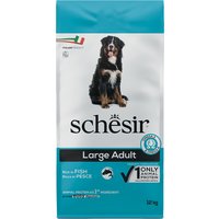 Schesir Dog Large Adult med fisk - 12 kg