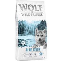 Wolf of Wilderness Junior Blue River Salmão - sem cereais - 12 kg