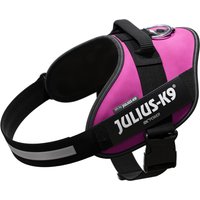 JULIUS-K9 IDC®-Powertuigje - Roze - Grootte L: borstomvang 63 - 85 cm