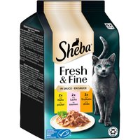 Sheba Fresh & Fine 12 x 50 g - Kyckling + Lax + Kalkon i sås