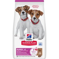 Lot économique : 3x 1,5kg Hill`s Science Plan Puppy Small & Mini agneau & riz nourriture sèche pour chiens