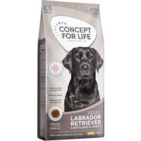 Concept for Life Labrador Retriever Adult - Nytt: 12 kg