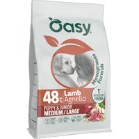 lot économique : 2 x 10 kg Oasy Puppy & Junior Medium/Large Agneau nourriture sèche pour chien
