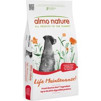 Nature's Variety Original Sterilised Salmon - 7 kg