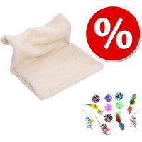 Combi Deal: Radiatorhangmat Relax + Kattenspeelgoed-Set met Ballen & Muizen