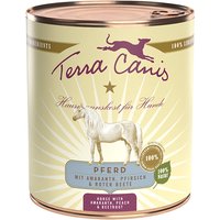 Terra Canis 12 x 800 g umido cane - Cavallo con Amaranto, Pesca e Bieta rossa