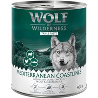 24x800g The Taste Of The Taste Of The Mediterranean Wolf of Wilderness - Pâtée pour chien