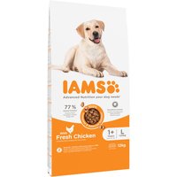 12kg IAMS Advanced Nutrition Adult Large poulet pour chien