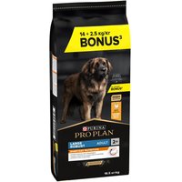 14kg Large Robust Adult poulet PRO PLAN PURINA Croquettes pour chien + 2,5kg offerts !