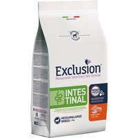Multipack risparmio! 2 x 12 kg Exclusion Diet Crocchette per cani - Intestinal Maiale & Riso