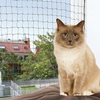 Filet de protection Trixie vert olive pour chat - L 2 x l 1,5 m