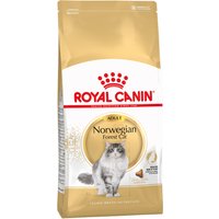 Ekonomipack: 2 x Royal Canin kattfoder till lågpris - Norwegian Forest Cat (2 x 10 kg)