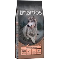 Lot Briantos SANS CÉRÉALES 2 x 12 kg pour chien - Senior dinde, pommes de terre