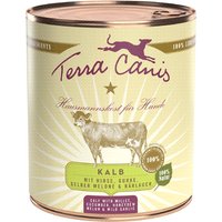 Terra Canis 12 x 800 g umido cane - NUOVO: Vitello con Miglio, Cetriolo, Anguria gialla e Aglio Orsino