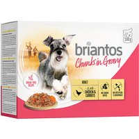 Ekonomipack: Briantos Chunks in Gravy 48 x 100 g - Kyckling & morötter