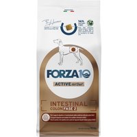 10kg Forza 10 Active Line Intestinal Colon Phase 2 nourriture pour chien sèche
