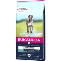 2x12kg Grain Free Adult Large Breed saumon Eukanuba - Croquettes pour chien