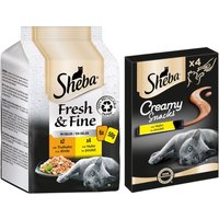 6x50g Fresh & Fine, Poulet et dinde en gelée Délices du jour Sheba nourriture humide pour chat + 4x12g poulet Creamy Snacks Sheba friandises pour chat
