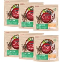 9kg PURINA ONE Mini Active poulet, riz - Croquettes pour chien