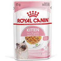 Royal Canin Kitten i gelé - 12 x 85 g