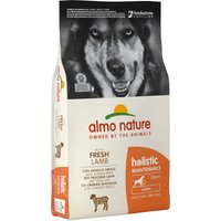 Almo Nature Holistic Adult Large Lamm & ris - 12 kg