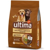 Ultima de 7 kg a 18 kg pienso para perros en oferta: hasta 3 kg ¡gratis! - Golden & Labrador Retriever Pollo (6 kg + 1,5 kg)