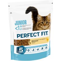 Perfect Fit Junior