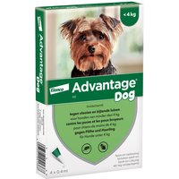 Advantage® 40 pour chien de moins de 4 kg - 2 x 4 pipettes