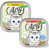 Catessy Junior bitar i sås i mixpack med 2 sorter - 32 x 100 g