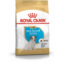 Royal Canin Jack Russell Puppy - 3 kg