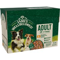 James Wellbeloved Adult Hypoallergenic Pouches - Turkey in Gravy - 12 x 90g