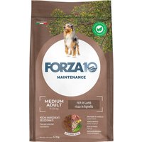 Forza 10 Medium Maintenance med lamm & ris - 12 kg