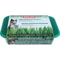 Herbe à chat Zolux - L 15 x l 10 x H 5 cm