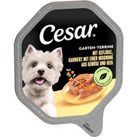Mégapack Cesar 14 x 150 g pour chien - volaille, légumes, riz
