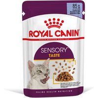 Royal Canin Sensory Taste i gelé - 12 x 85 g
