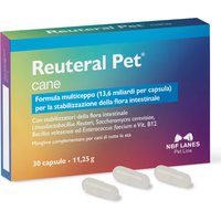 Reuteral Pet Cane – 30 pz