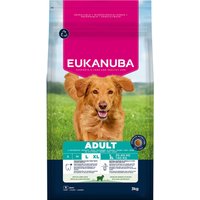 Eukanuba Premium Nutrition Adult Large & Giant Breed Lamb & Rice - 3 kg