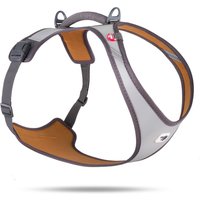 Pettorina Curli Glow Belka – grigio – 702 – 789…