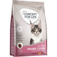 3kg Concept for Life Maine Coon Kitten Croquettes pour chaton