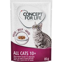 Concept for Life All Cats 10+ - i gelé - 48 x 85 g