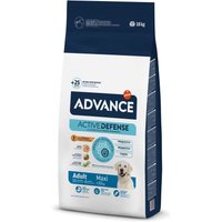 Advance – Pienso para perros adultos grandes Advance Maxi pollo y arroz.