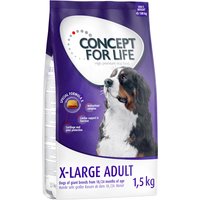 Testez-les ! Croquettes Concept for Life 1 kg ou 1,5 kg pour chien - X-Large Adult (1,5 kg)