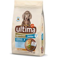 Ultima Medium/Maxi Junior Chicken - 12 kg