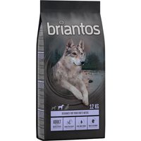 12kg Briantos Adult canard, pommes de terre SANS CEREALES - Croquettes pour chien