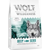 1kg Adult Deep Seas, hareng Wolf of Wilderness Croquettes pour chien