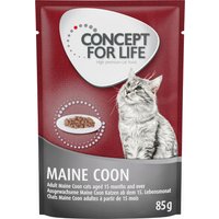 Concept for Life Maine Coon Adult - in Ragout - 24 x 85g