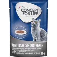 Concept for Life British Shorthair Adult - As an Add-on: 12 x 85g Ragout British Shorthair Adult Wet Food