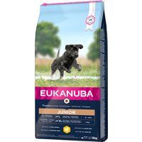 15kg Eukanuba Junior Large Breed poulet - Croquettes pour chien